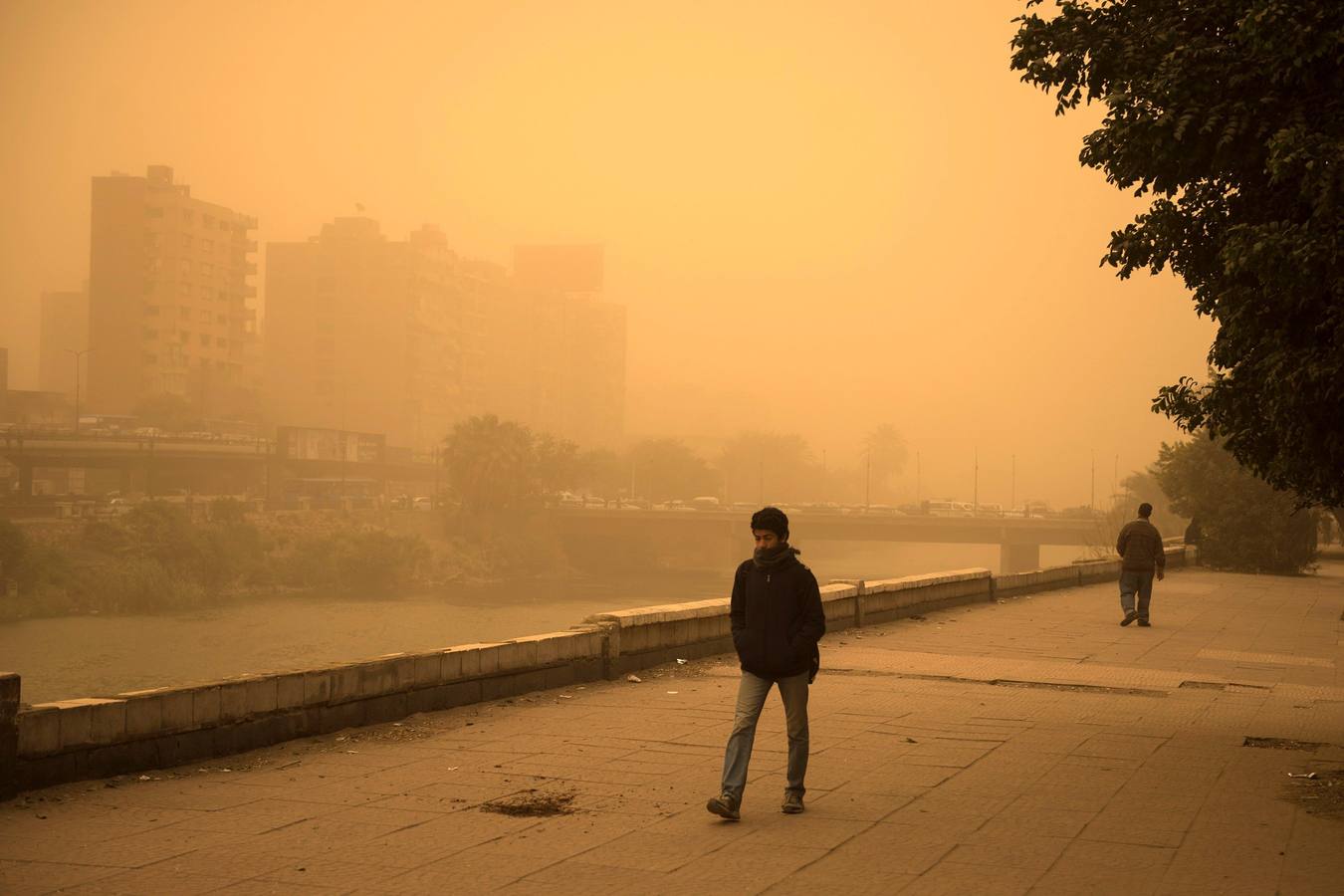 Varias personas se cubren el rostro durante una tormenta de arena en El Cairo, Egipto. La tormenta provocó que varios zoos y parques tuvieran que cerrar sus puertas al público.