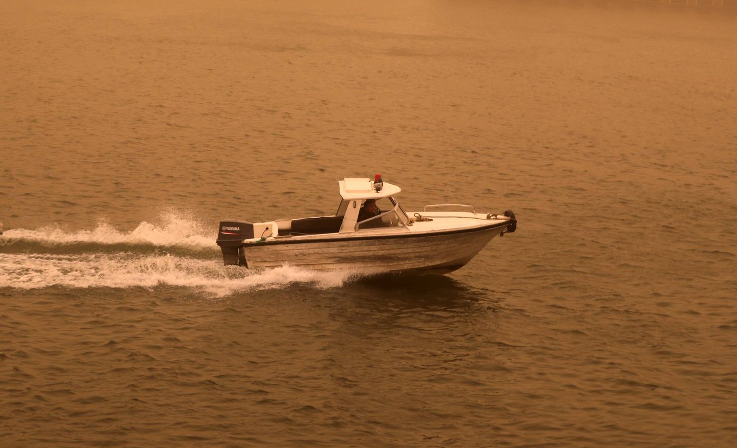 Varias personas se cubren el rostro durante una tormenta de arena en El Cairo, Egipto. La tormenta provocó que varios zoos y parques tuvieran que cerrar sus puertas al público.