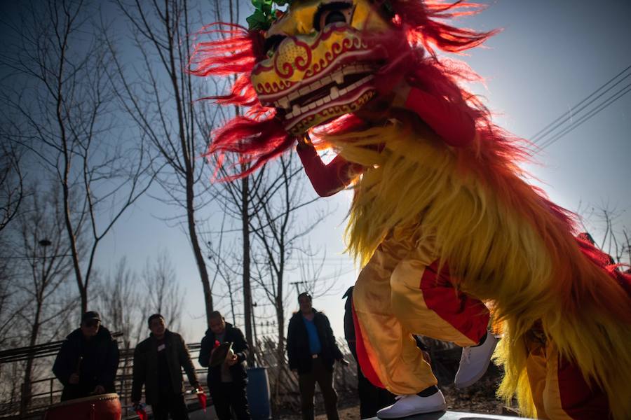 La danza del león es una característica común para traer buena fortuna, prosperidad, buena suerte a las empresas y ahuyentar a los espíritus malignos durante el Año Nuevo Lunar que se celebra el 5 de febrero de este año.
