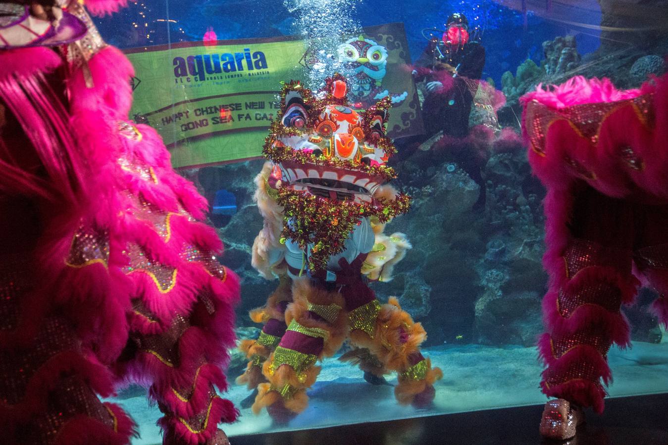 Varios artistas realizan la danza del león dentro y fuera del acuario 'Aquaria KLCC' previo a la próxima celebración del Año Nuevo Chino, en Kuala Lumpur (Malasia). El Año Nuevo Lunar chino, o Festival de Primavera, que se celebra el 5 de febrero de este año, marcará el Año del Cerdo.
