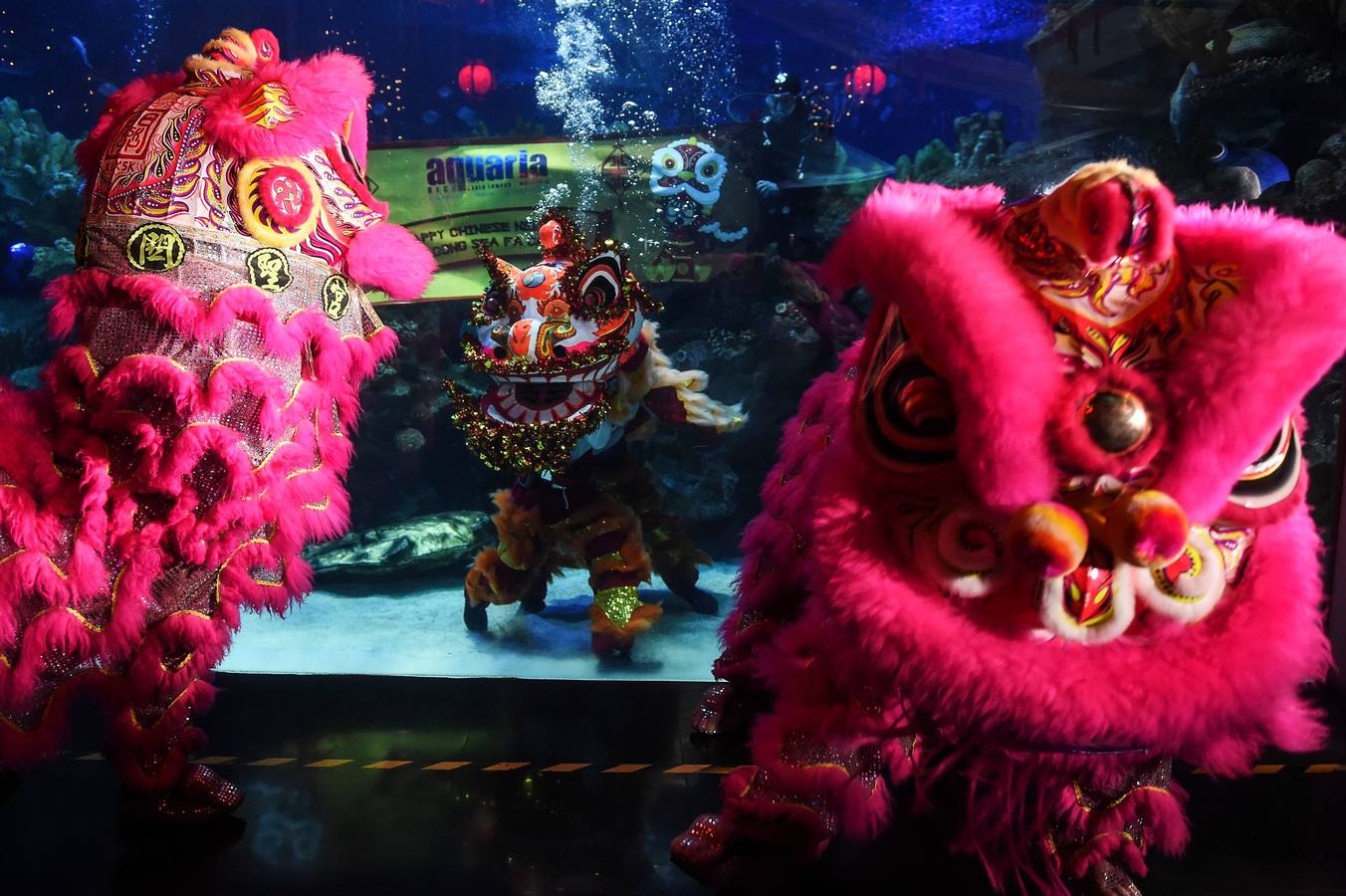 Varios artistas realizan la danza del león dentro y fuera del acuario 'Aquaria KLCC' previo a la próxima celebración del Año Nuevo Chino, en Kuala Lumpur (Malasia). El Año Nuevo Lunar chino, o Festival de Primavera, que se celebra el 5 de febrero de este año, marcará el Año del Cerdo.