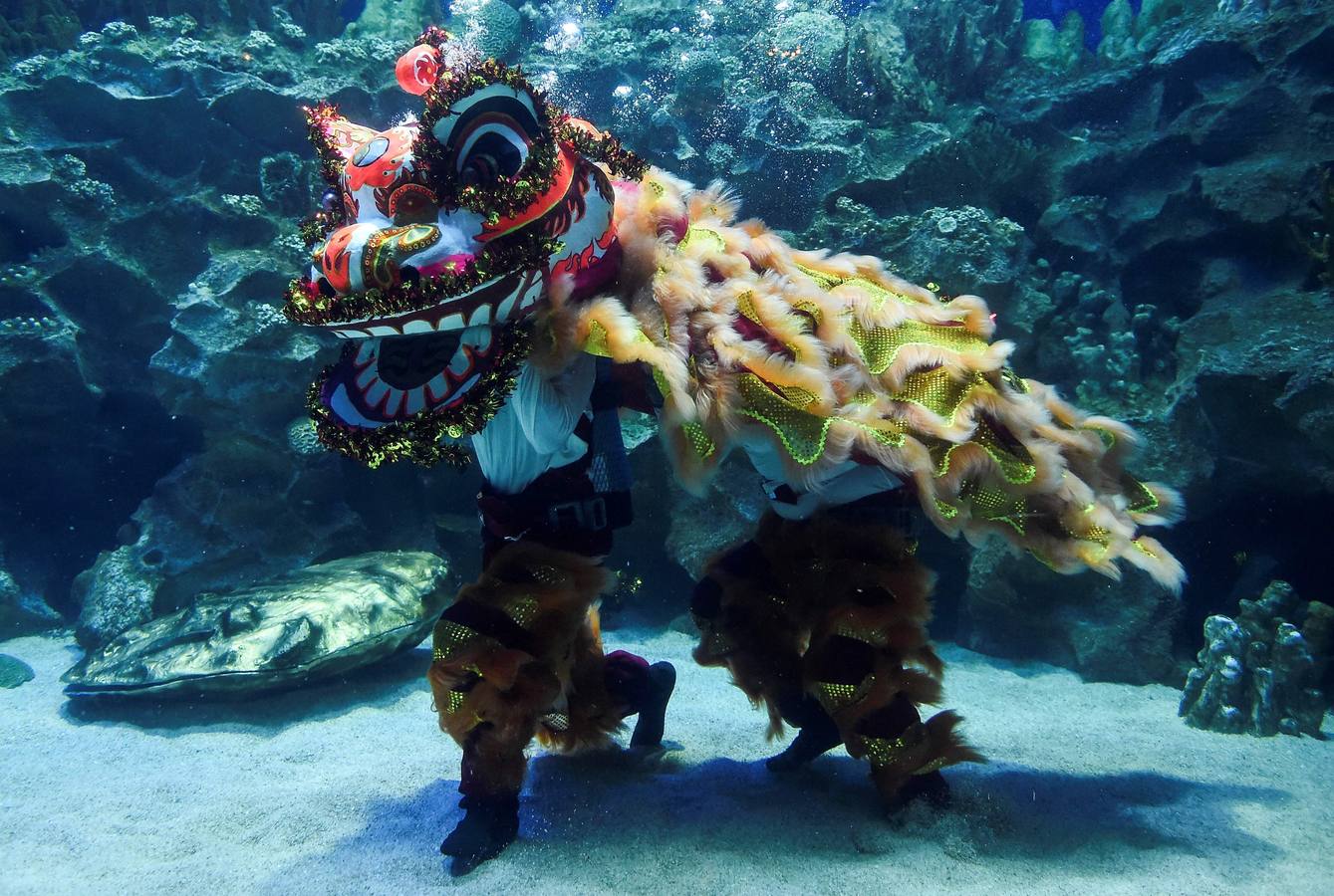 Varios artistas realizan la danza del león dentro y fuera del acuario 'Aquaria KLCC' previo a la próxima celebración del Año Nuevo Chino, en Kuala Lumpur (Malasia). El Año Nuevo Lunar chino, o Festival de Primavera, que se celebra el 5 de febrero de este año, marcará el Año del Cerdo.