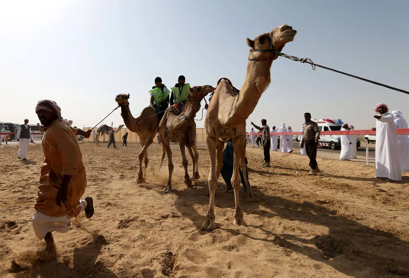 Varios jinetes montan sus camellos durante una carrera disputada dentro del Festival jeque Sultán bin Zayed en el desierto Sweihan, en Al Ain, Emiratos Árabes Unidos.