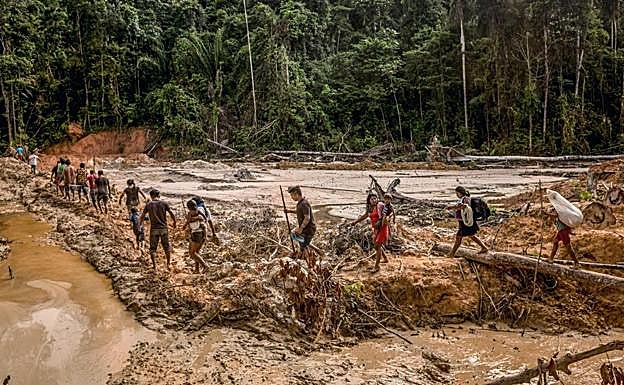 La Amazonia tiembla con Bolsonaro