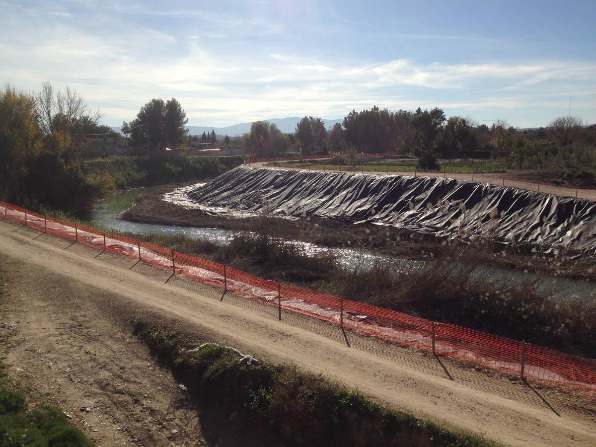 El bosque de galería cubrirá amplios tramos de las riberas del río en pocos años