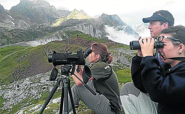Socios de SEO/Birdlife hacen un seguimiento de aves migratorias en el Pirineo de Huesca. 