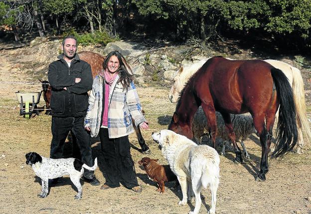 La pareja española que lo ha dejado todo para crear un santuario de animales  | La Verdad