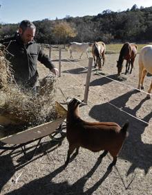 Imagen secundaria 2 - La pareja española que lo ha dejado todo para crear un santuario de animales