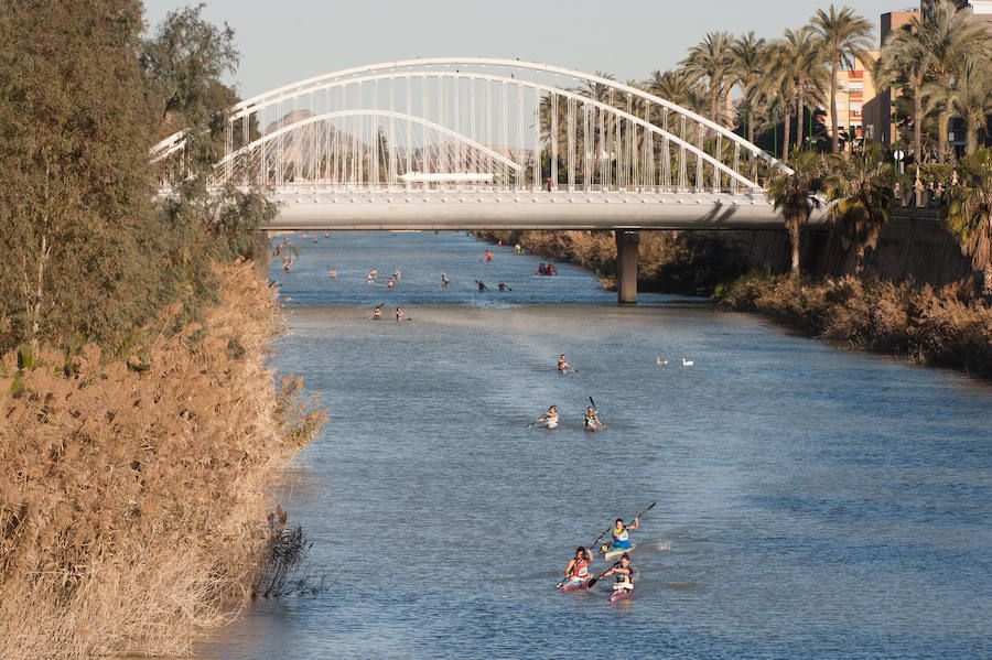 La Regata Ciudad de Murcia rompe su techo con setecientos palistas, barcos dragón y participantes de prestigio.