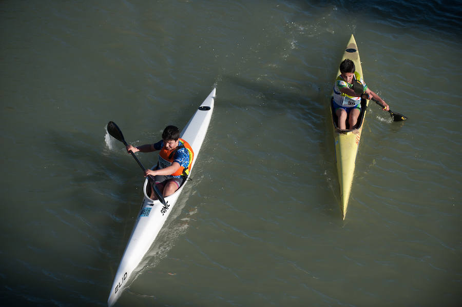 La Regata Ciudad de Murcia rompe su techo con setecientos palistas, barcos dragón y participantes de prestigio.