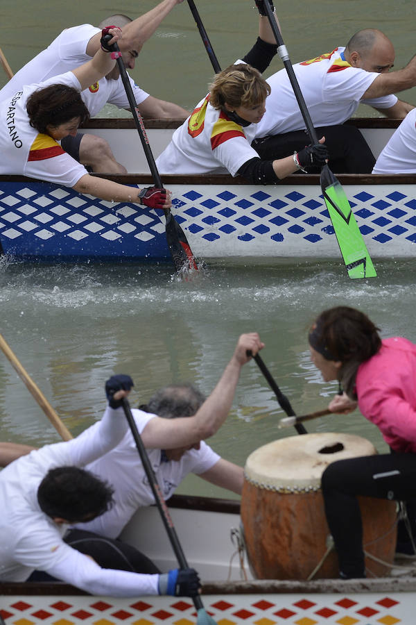 La Regata Ciudad de Murcia rompe su techo con setecientos palistas, barcos dragón y participantes de prestigio.