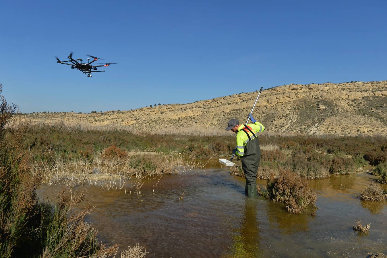 Los aparatos voladores esparcen por el agua una bacteria que impide el desarrollo biológico del 'Aedes albopictus'.