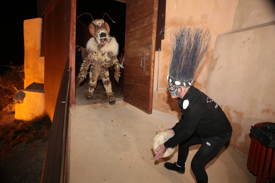 Cristina Moreno encarnó a la bestia de las fiestas del Carnaval con un traje que simulaba una abeja y acompañada por un séquito de setenta apicultores