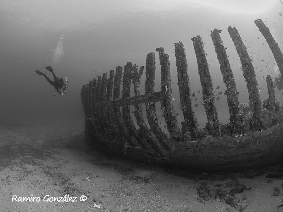 Un repaso a la fauna y la vegetación sumergida del espacio que se convertirá en tercera reserva marina de la Región de Murcia