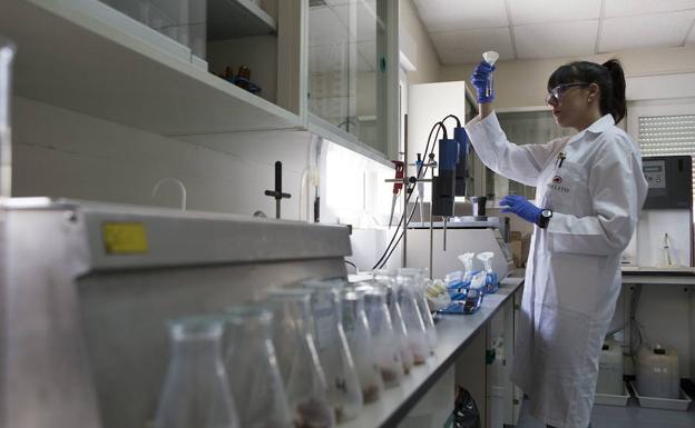 Una técnico de análisis y control de calidad trabaja en un laboratorio, en una fotogtrafía de archivo.