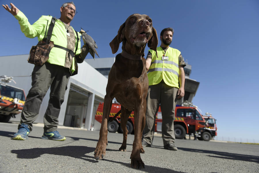 Fotos: Visita de los ganadores del concurso de &#039;La Verdad&#039; al aeropuerto internacional de la Región de Murcia