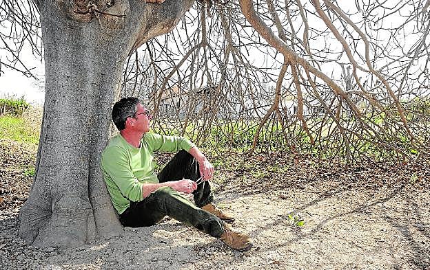 José Tomás Marín bajo una de las enormes higueras del Paraje de los Frailes, entre Rincón de Seca y Aljucer. 