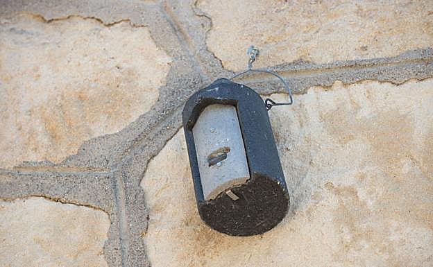 Imagen de archivo de una caseta para murcielagos.