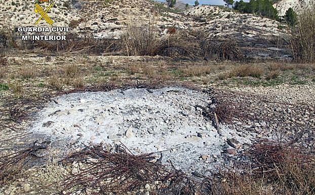 Vegetación afectada por el incendio.