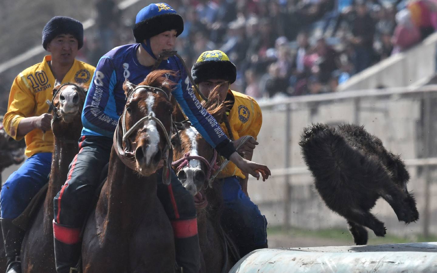 Varios jinetes participan en la competición tradicional kirguizistana llamada 'Kok-Boru', o arrastre de la cabra, con motivo de las celebraciones del Año Nuevo en el calendario solar persa, en Biskek (Kirguizistán). En el Kok-Boru los jugadores deben agarrar el cuerpo de una cabra desde el suelo mientras montan a caballo e intentar anotar un tanto al dejarlo sobre la portería del contrario.