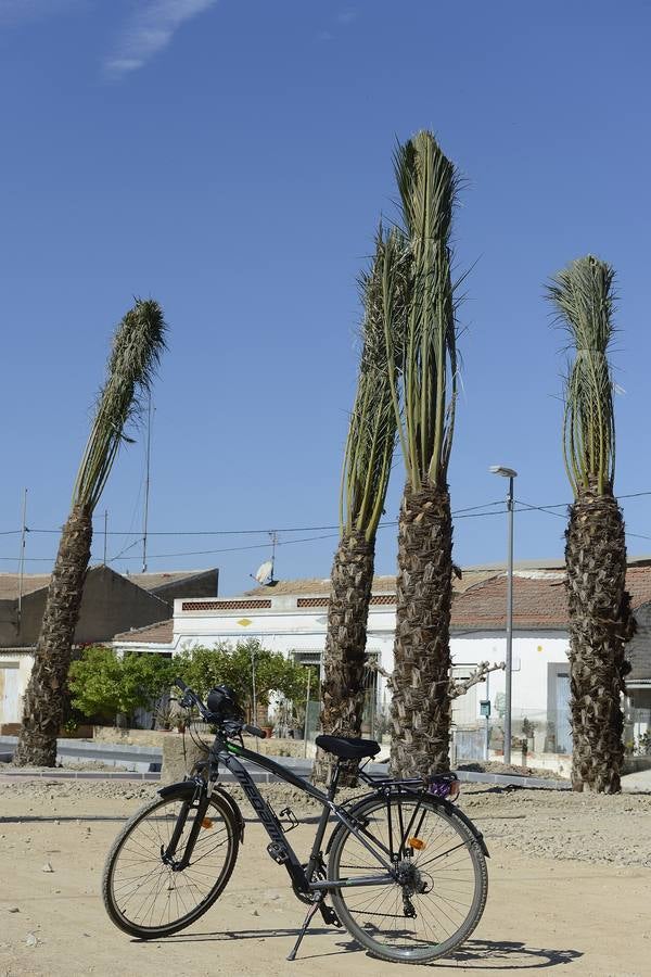 Itinerario cicloturístico de La Alberca a Los Ramos, con el perfume de azahar como protagonista