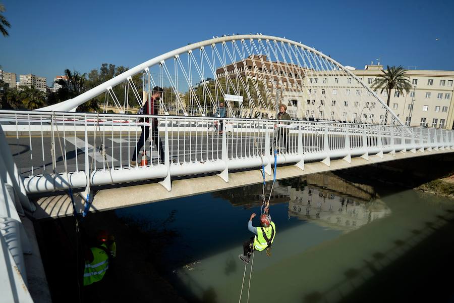 El Ayuntamiento de Murcia limpia el puente del Reina Sofía, donde anidan más de 400 ejemplares