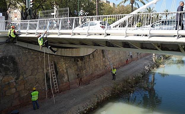 Trabajos de limpieza en el puente del hospital Reina Sofía de Murcia. 