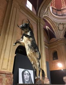 Imagen secundaria 2 - Varias de las obras de 'Deus ex machina'. 