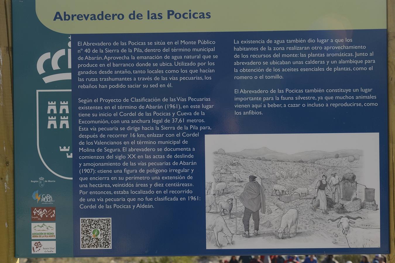 Historia al natural en la Sierra de la Pila abaranera.