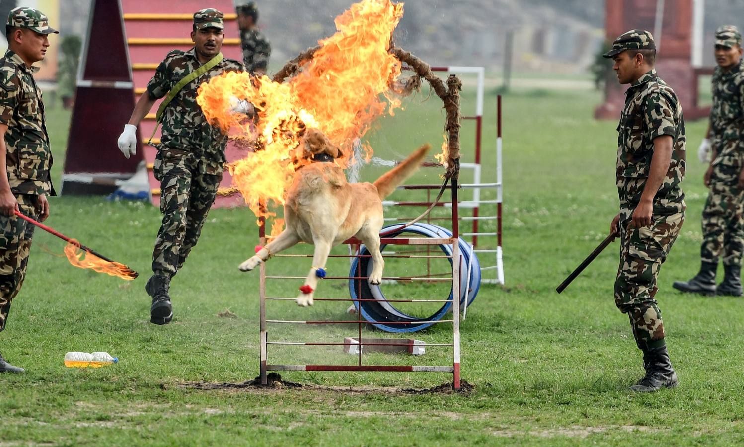 Celebración del tradicional festival hípico Ghode Jatra en Katmandú (Nepal). Este evento lo organiza el Ejército nepalés para alejar a los demonios. Miles de ciudadanos de todo el país asisten al festival.