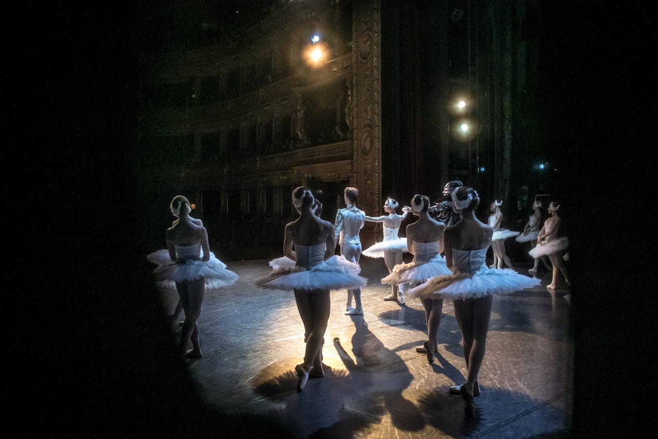 Varias bailarinas del Ballet Nacional checo participan en un ensayo general de «El lago de los cisnes» en el escenario del Teatro Nacional en Praga (República Checa). El Ballet Nacional checo es la primera gran compañía que ha conseguido la aprobación para representar la pieza fuera de Alemania. 