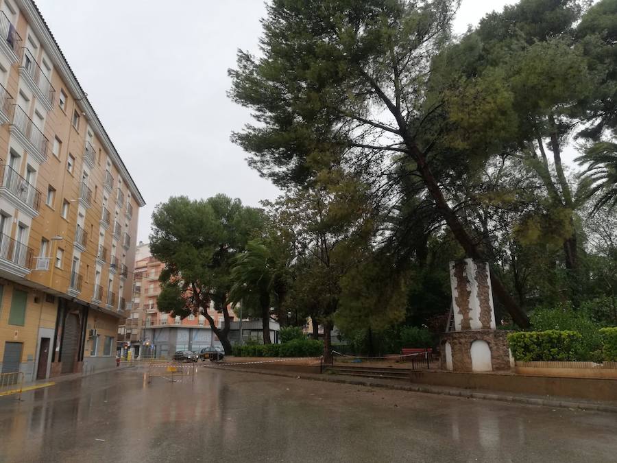 Según los datos actuales, hasta el momento, la media de lluvia registrada en el término municipal oscila entre los 80 y 100 litros por metro cuadrado