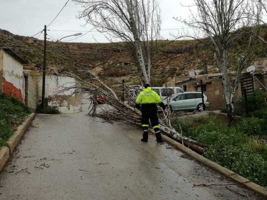 Según los datos actuales, hasta el momento, la media de lluvia registrada en el término municipal oscila entre los 80 y 100 litros por metro cuadrado