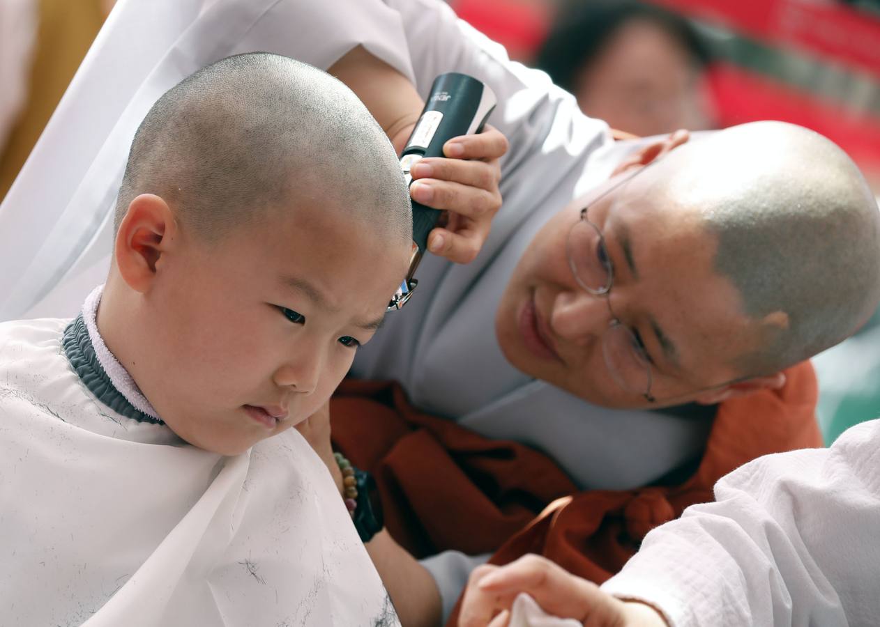 Varios niños reciben un drástico corte de pelo durante una ceremonia en la que menores surcoreanos se convierten en monjes budistas, en el templo Jogyesa de Seúl (Corea del Sur). Los monjes acogen a los niños en el templo durante 21 días para enseñarles los fundamentos de la religión budista.