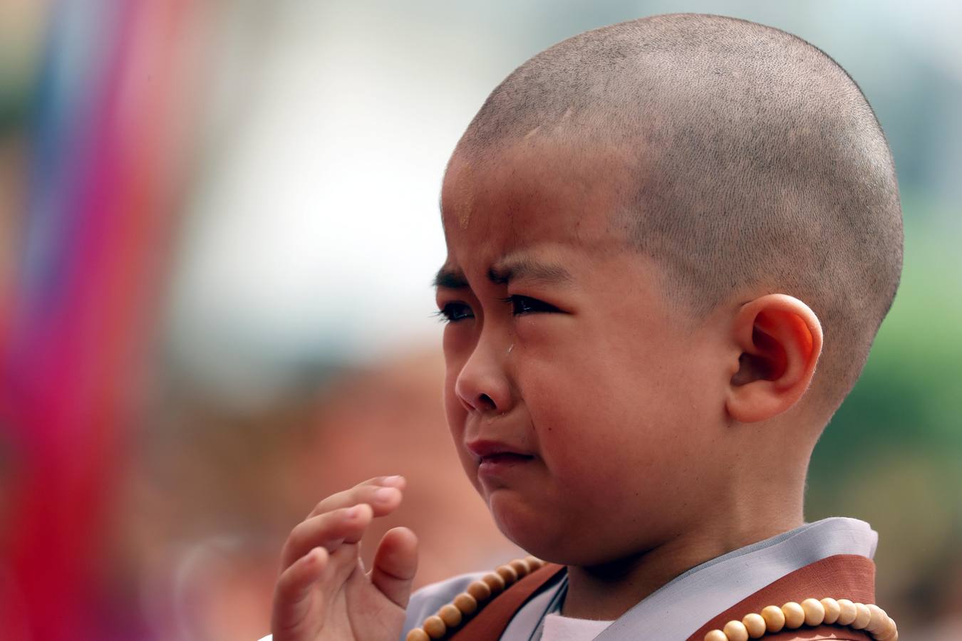 Varios niños reciben un drástico corte de pelo durante una ceremonia en la que menores surcoreanos se convierten en monjes budistas, en el templo Jogyesa de Seúl (Corea del Sur). Los monjes acogen a los niños en el templo durante 21 días para enseñarles los fundamentos de la religión budista.