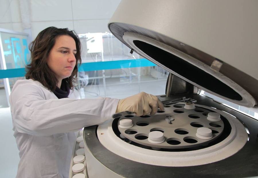 Una investigadora trabaja en los proyectos sobre biomasa que se desarrollan desde Cetenma