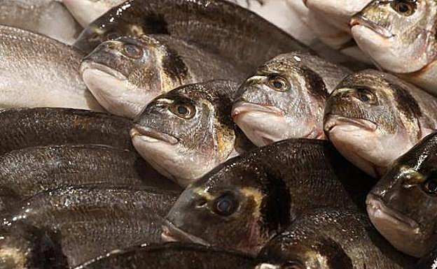 Los 7 pescados que compras en el supermercado sin saber que contienen más mercurio de lo normal