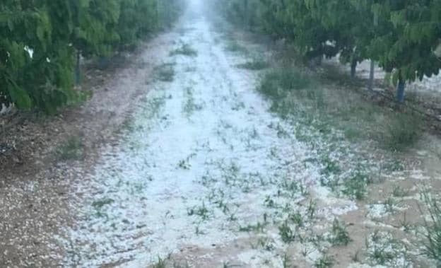 Granizo caído el pasado martes. 