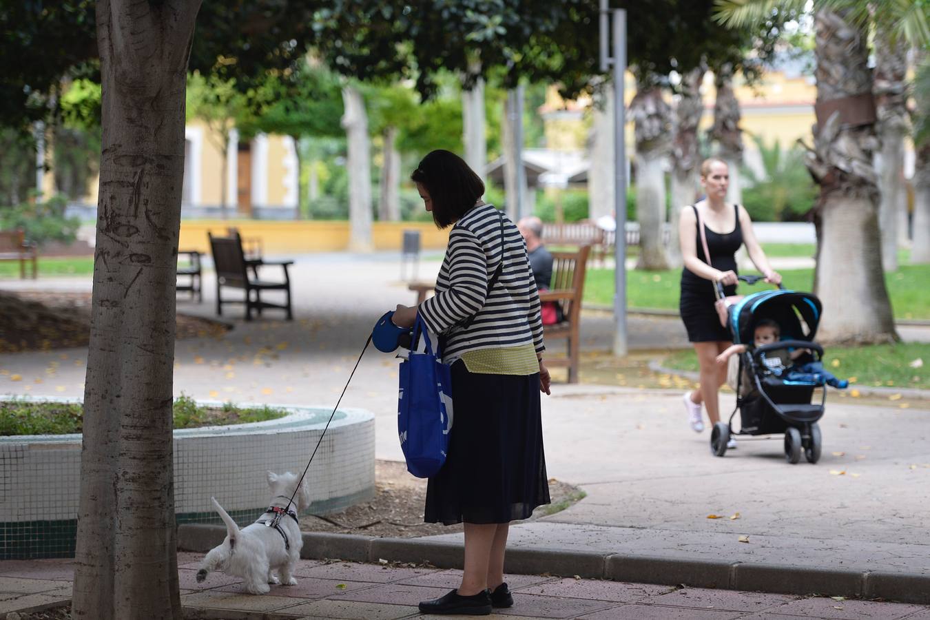 En la Región hay registrados con microchip 229.193 perros. A finales de 2018 la cifra de los menores de 15 años en la Región es de 258.454 niños.