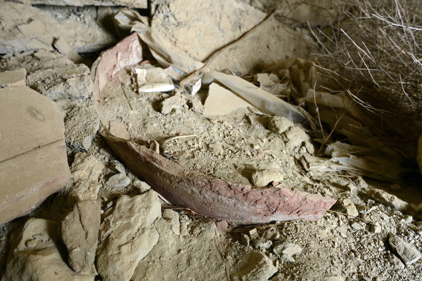 La aldea de Aledo sucumbe al paso del tiempo, devorada por el olvido y la vegetación.