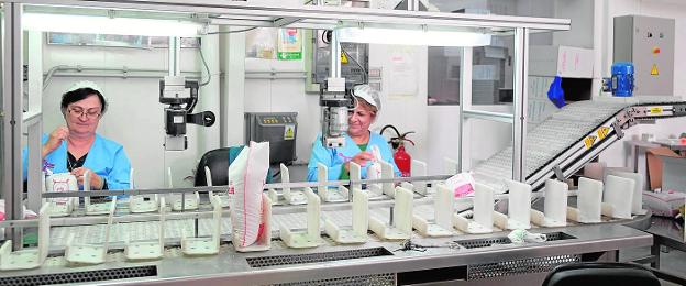 Trabajadoras de la Cooperativa del Campo Virgen de la Esperanza, en Calasparra. 