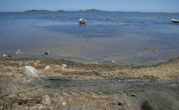 Restos de algas y fango invaden la playa de Los Urrutias, en una fotografía del pasado mes de mayo.