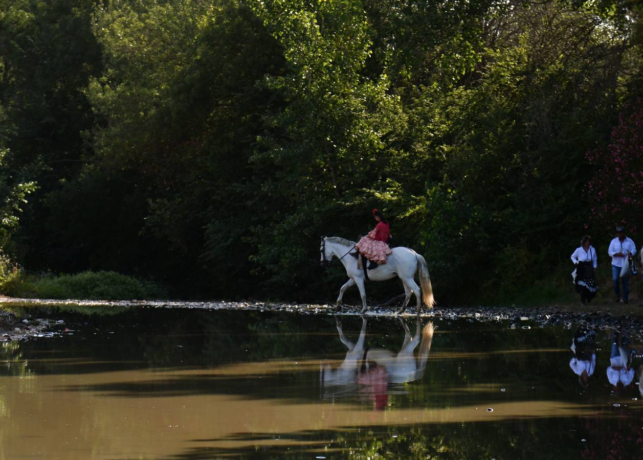 Cientos de personas participan en la romería de Pentecostés 2019, donde los peregrinos surcan los caminos hacia la aldea almonteña de El Rocío (Huelva) para honrar a la Virgen del Rocío.