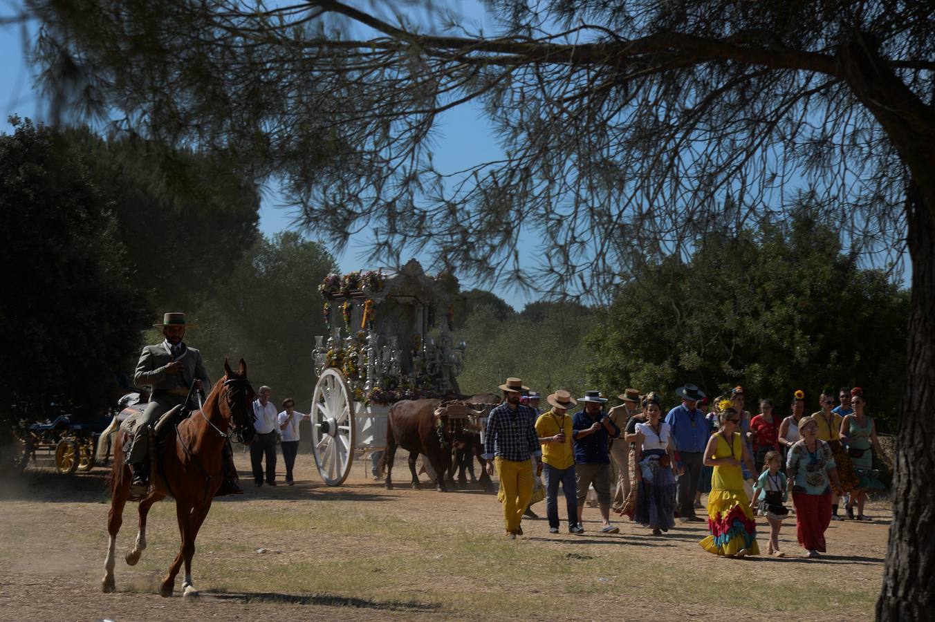 Cientos de personas participan en la romería de Pentecostés 2019, donde los peregrinos surcan los caminos hacia la aldea almonteña de El Rocío (Huelva) para honrar a la Virgen del Rocío.