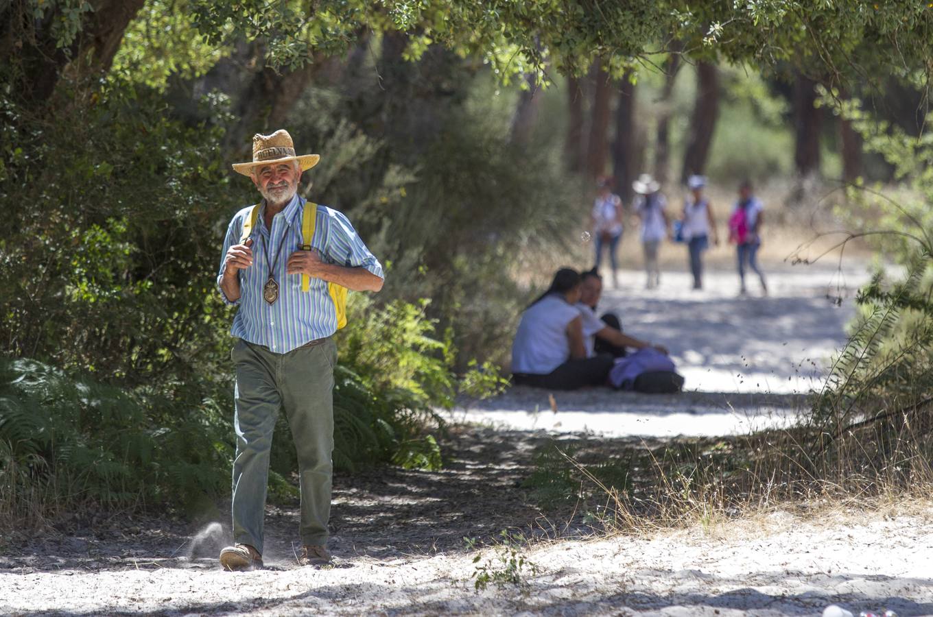 Cientos de personas participan en la romería de Pentecostés 2019, donde los peregrinos surcan los caminos hacia la aldea almonteña de El Rocío (Huelva) para honrar a la Virgen del Rocío.