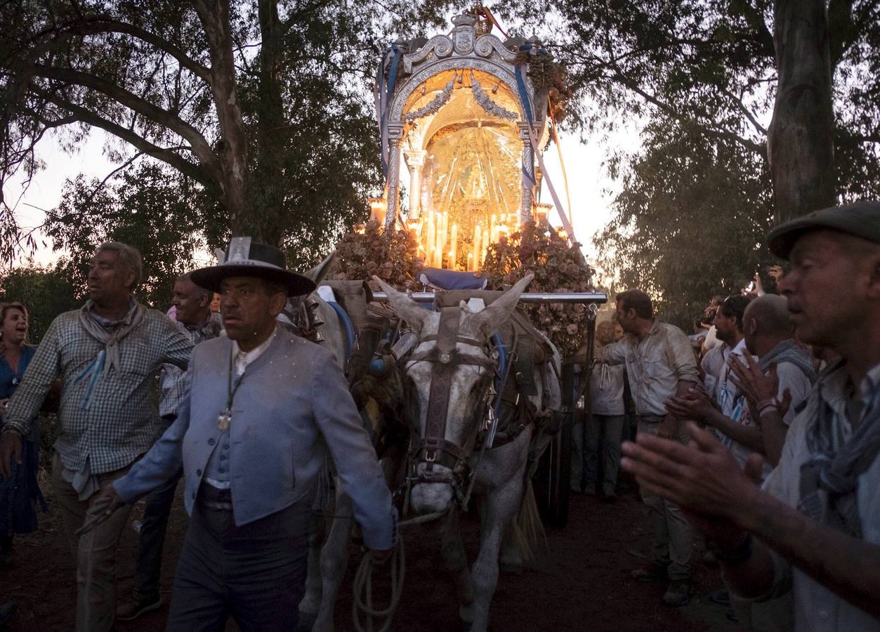 Cientos de personas participan en la romería de Pentecostés 2019, donde los peregrinos surcan los caminos hacia la aldea almonteña de El Rocío (Huelva) para honrar a la Virgen del Rocío.