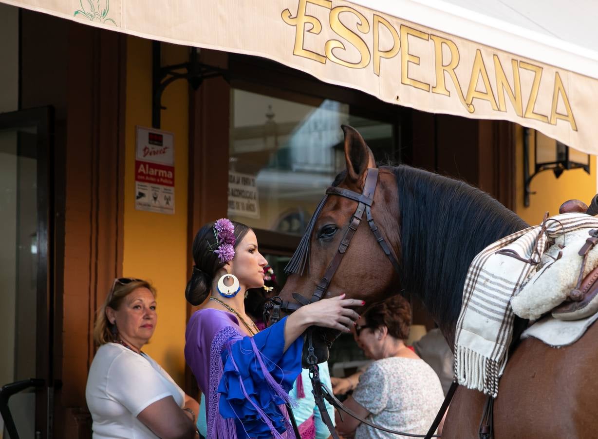 Cientos de personas participan en la romería de Pentecostés 2019, donde los peregrinos surcan los caminos hacia la aldea almonteña de El Rocío (Huelva) para honrar a la Virgen del Rocío.