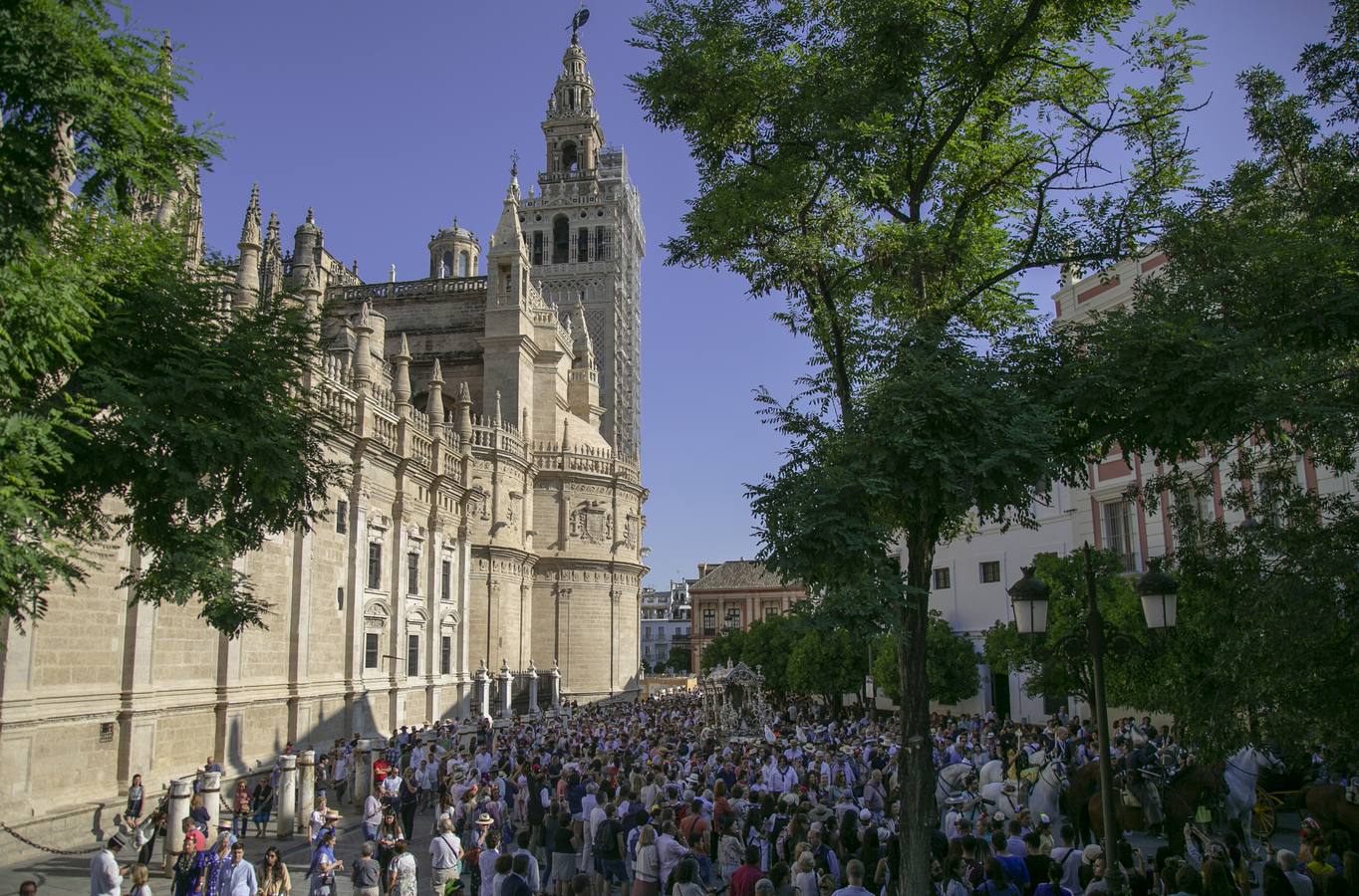 Cientos de personas participan en la romería de Pentecostés 2019, donde los peregrinos surcan los caminos hacia la aldea almonteña de El Rocío (Huelva) para honrar a la Virgen del Rocío.