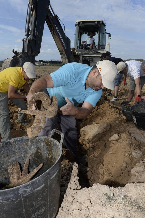 El compuesto, rico en microorganismos, se mezcla con agua y se reparte sobre el suelo 