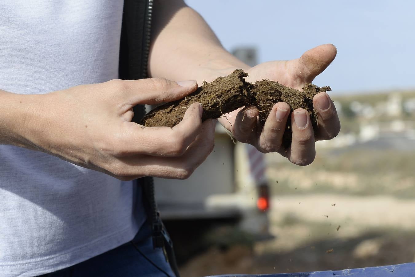 El compuesto, rico en microorganismos, se mezcla con agua y se reparte sobre el suelo 